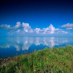 Team Page: Bay it Forward